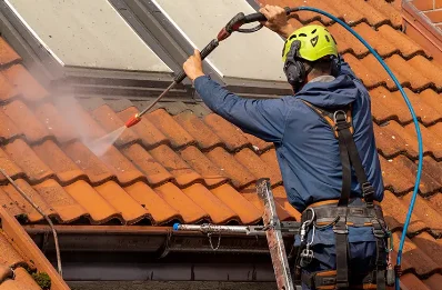 Démoussage et hydrofuge de toiture à Domeyrat